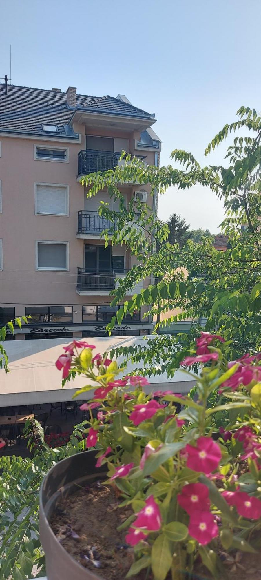 Teanta Apartman Sombor Exterior photo